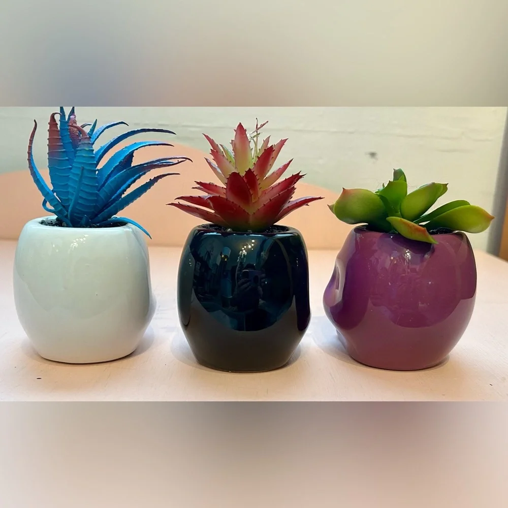 Target 2019 Halloween Skull 3 Planter Set Hyde & Eek Ghoulish Garden